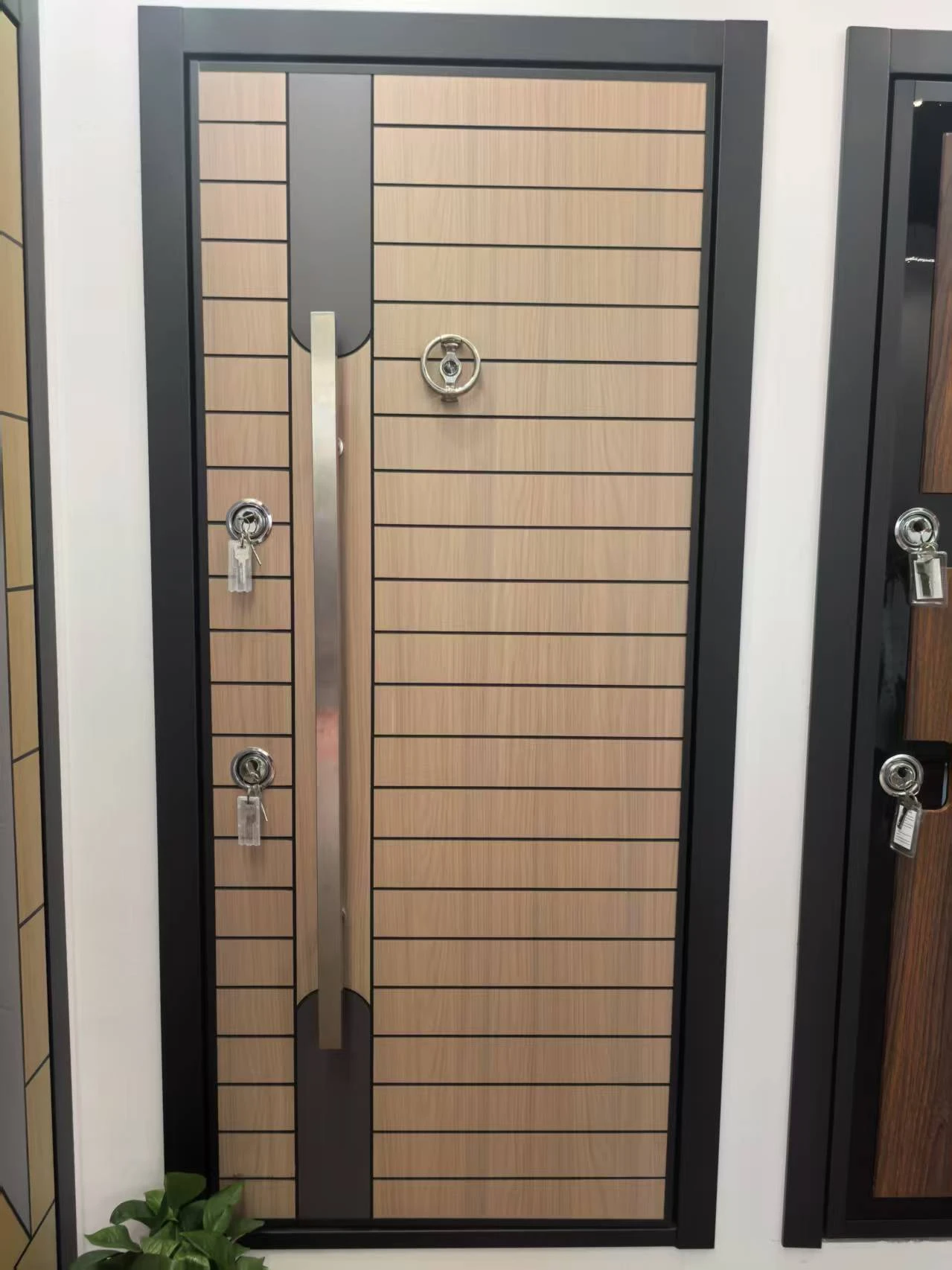 Steel Door