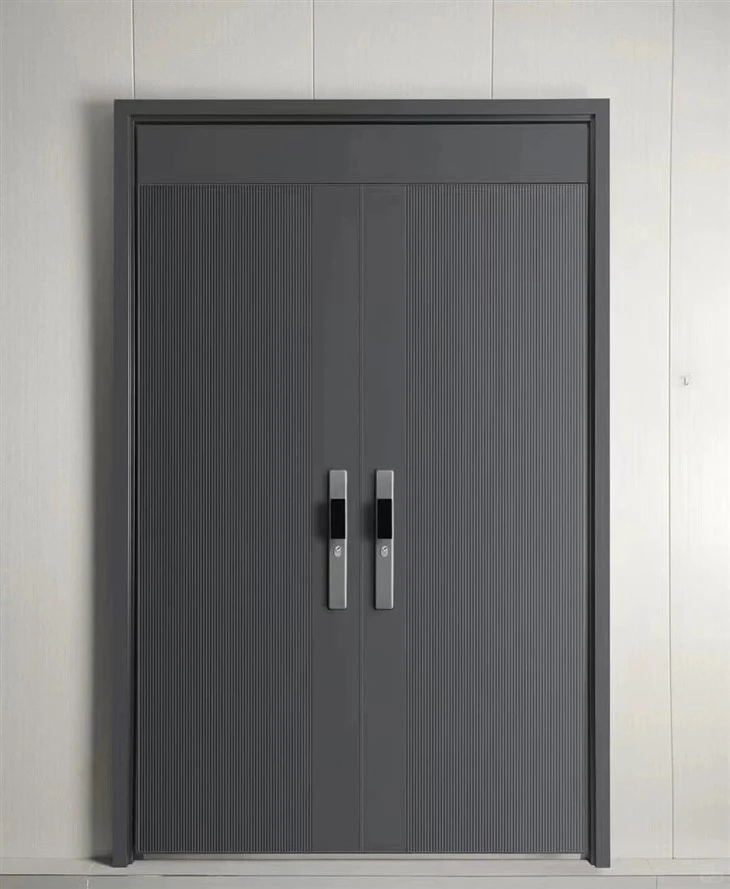 Steel Double Entry Doors best